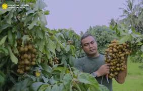 Petani
