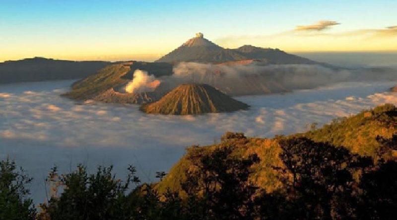 Bromo