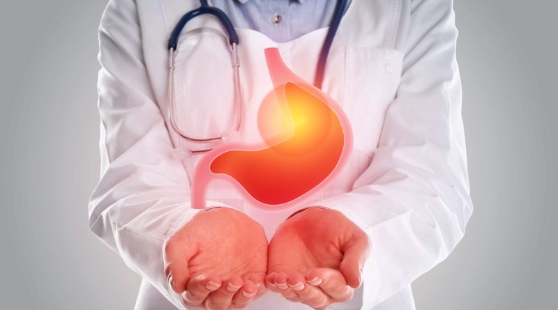 lambung manusia dengan sistem pencernaan aktif dan sehat